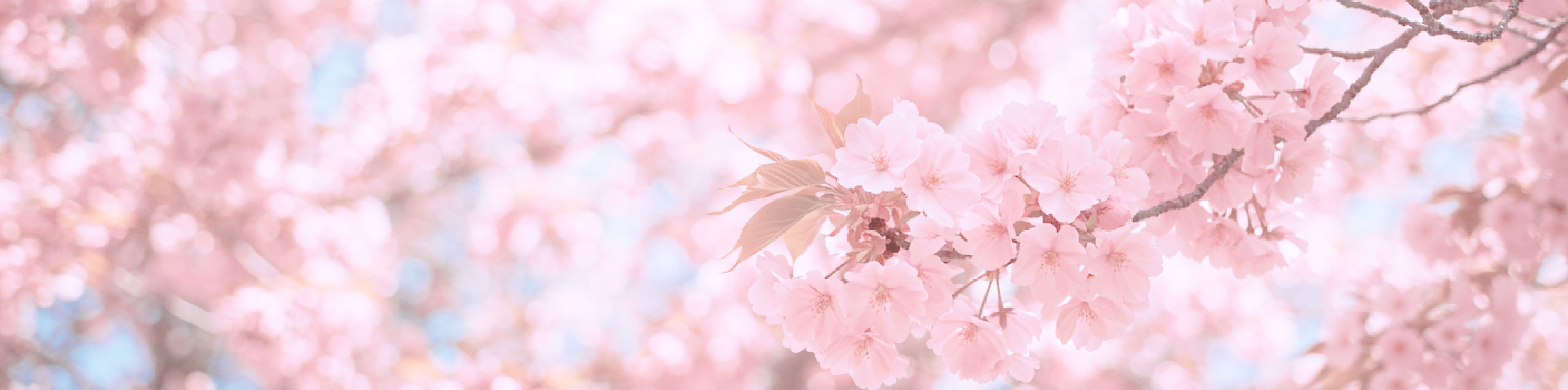 当院紹介イメージ