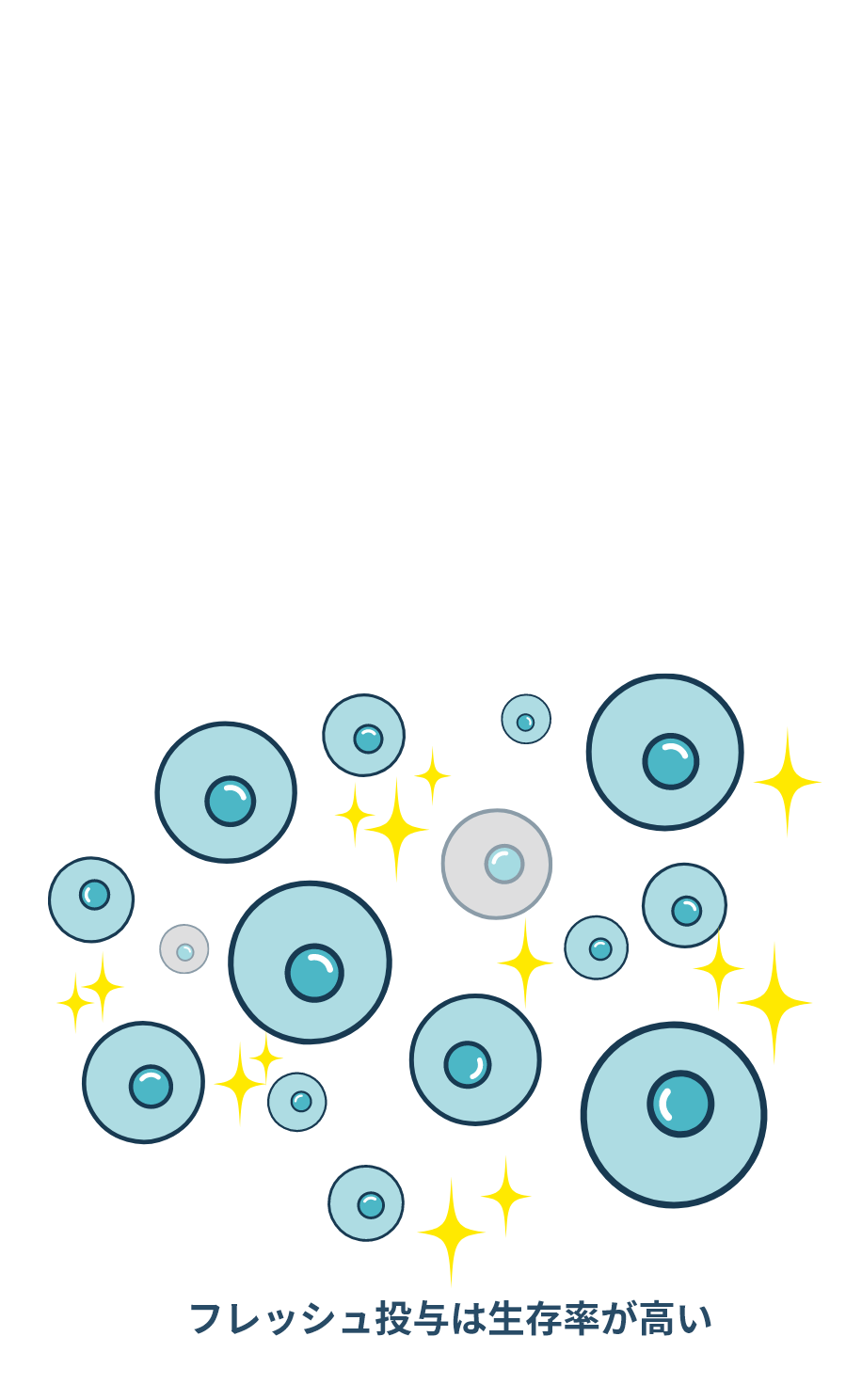 細胞の生存イメージ