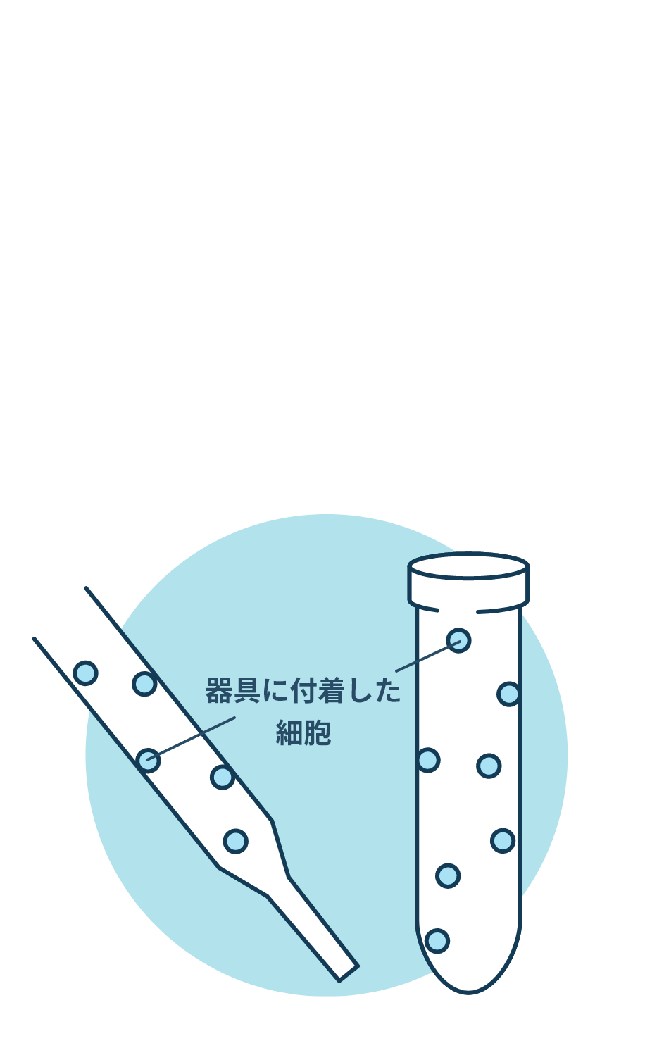 細胞ロストイメージ