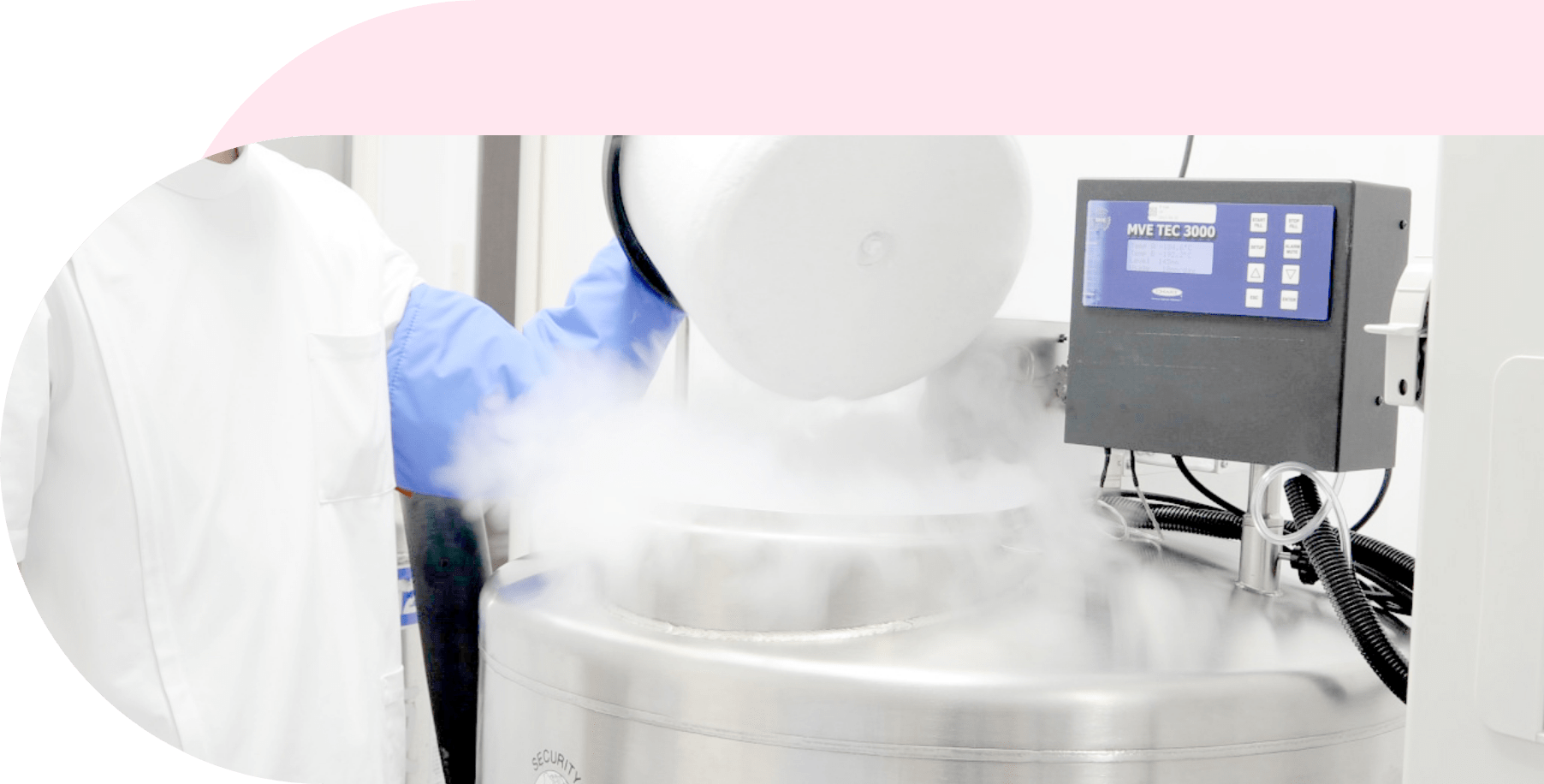 幹細胞のバンキングイメージ