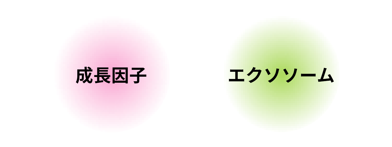 上清液の主成分イメージ