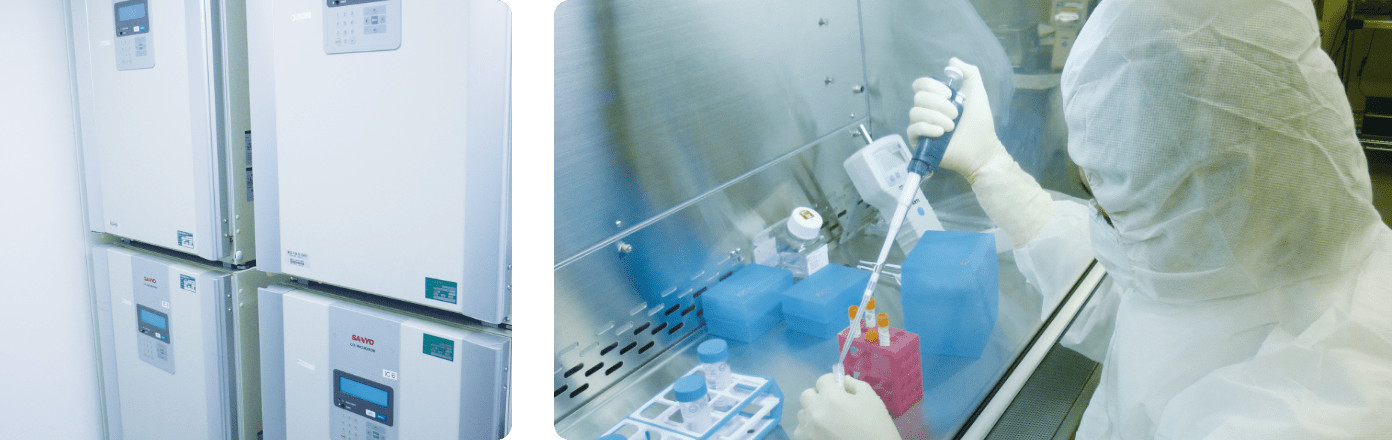 質の高い培養イメージ