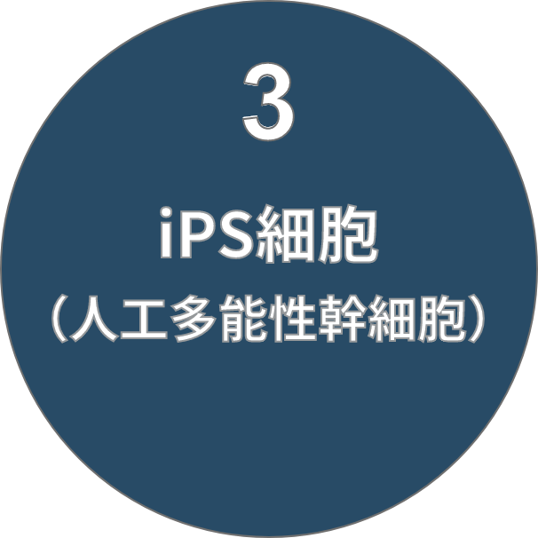 3 iPS細胞 （人工多能性幹細胞）